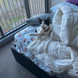 It's a tough life for me at my Pet Sitter's house