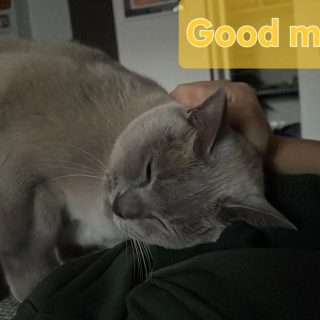 My Paws Galore Pet Sitter knows I like to be rubbed side to side.