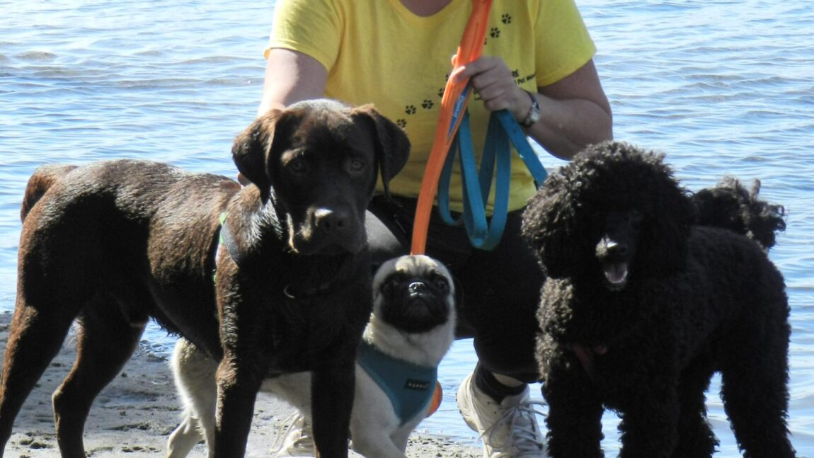 Me with dogs at beach